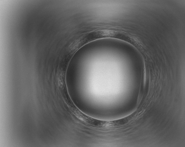 X0000059850325200510281858