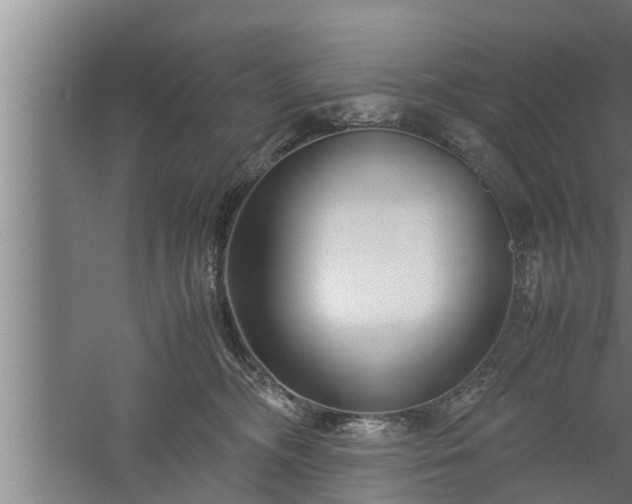 X0000059850326200510281858