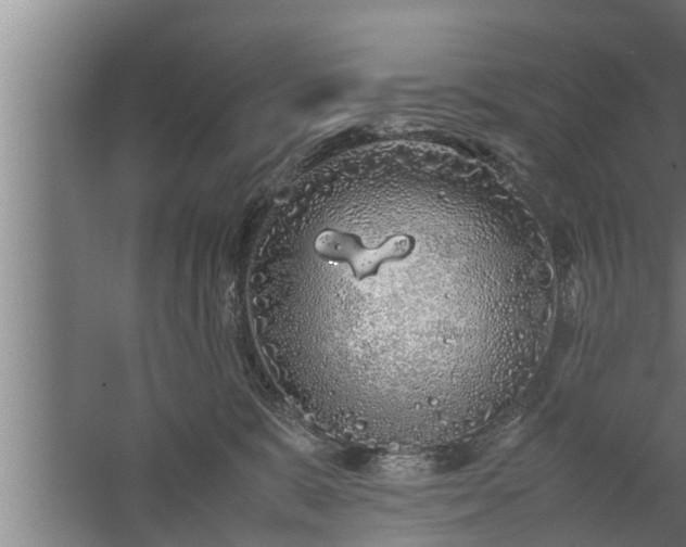 X0000059850327200510281858