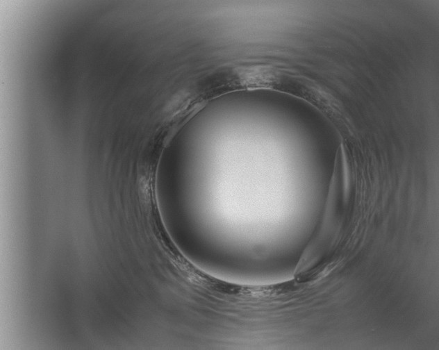 X0000059850329200510281858