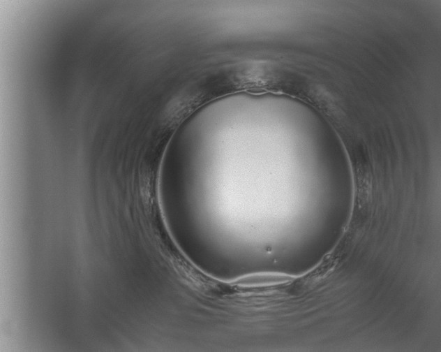 X0000059850331200510281858