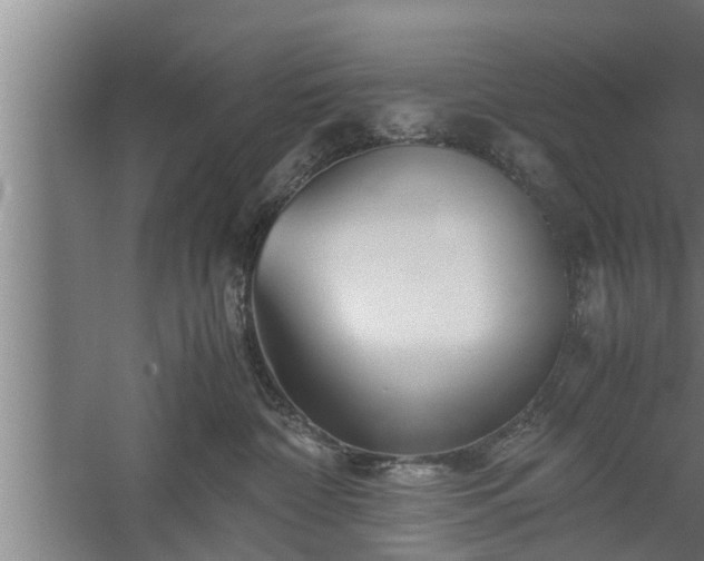 X0000059850332200510281858