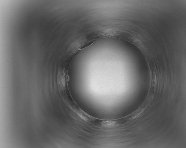 X0000059850334200510281858