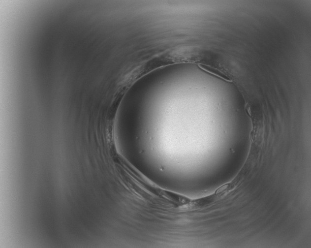 X0000059850335200510281858