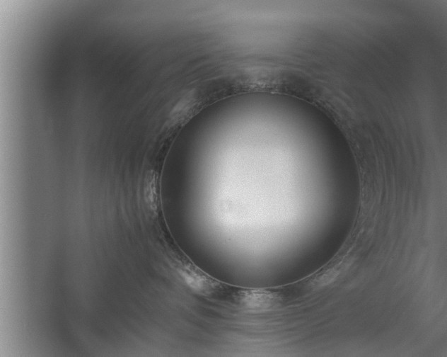 X0000059850336200510281858