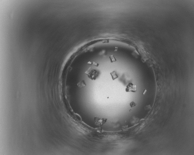 X0000059850342200510281857