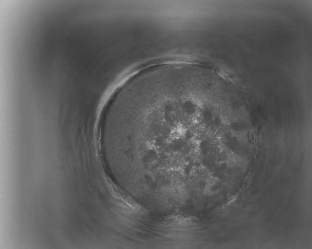 X0000059850343200510281857