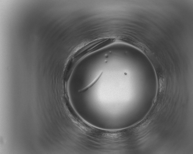 X0000059850349200510281857