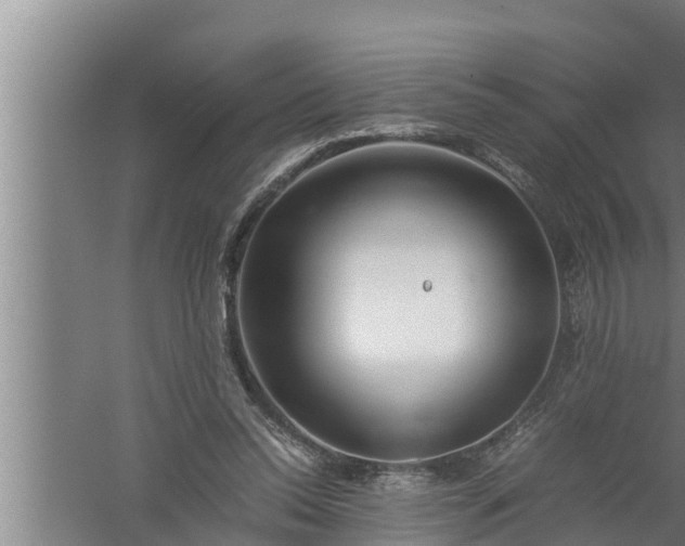 X0000059850350200510281857