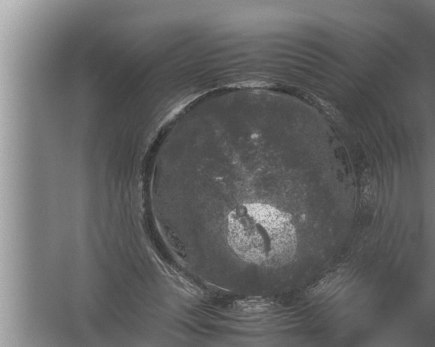 X0000059850351200510281857