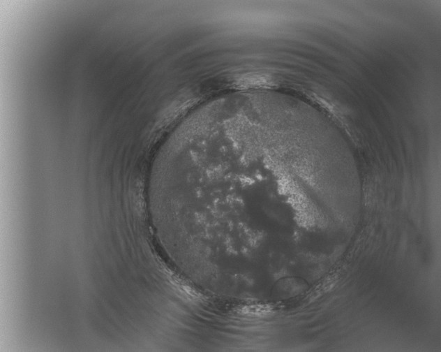 X0000059850353200510281857