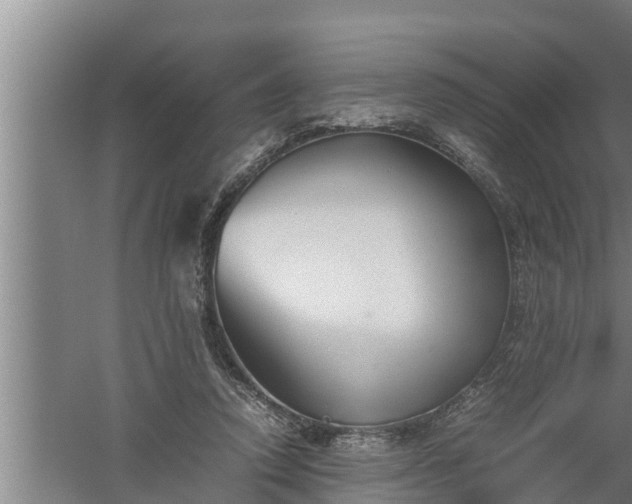 X0000059850354200510281857