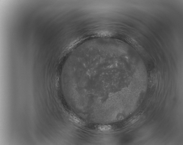 X0000059850355200510281857