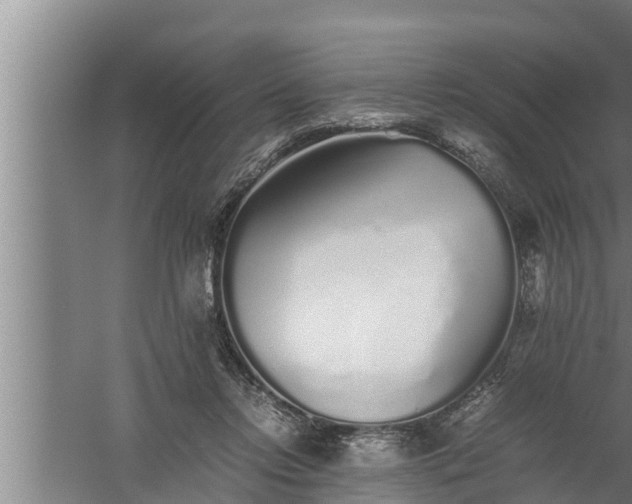 X0000059850358200510281857