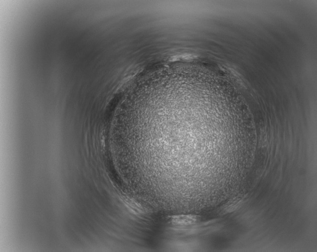 X0000059850363200510281857