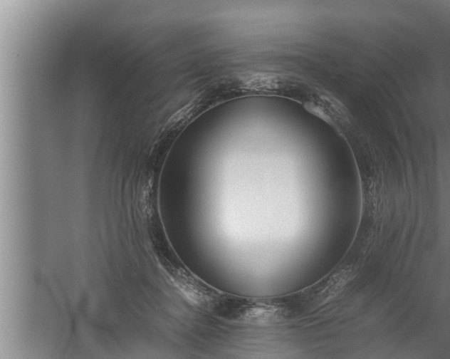 X0000059850364200510281857