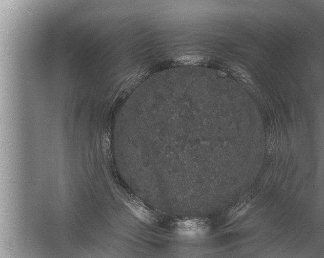 X0000059850365200510281857