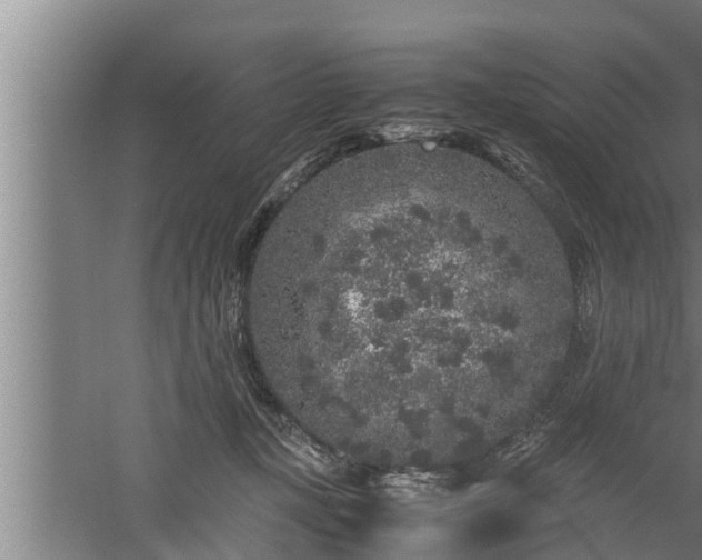 X0000059850367200510281857