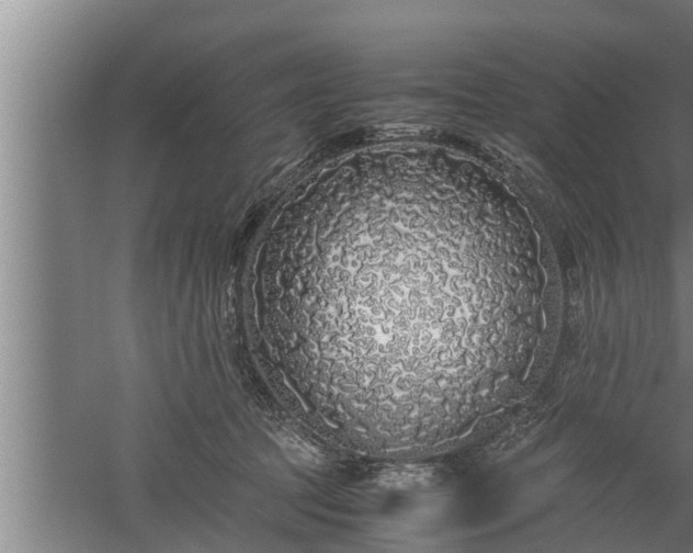 X0000059850369200510281857