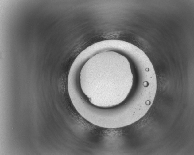 X0000059850370200510281858