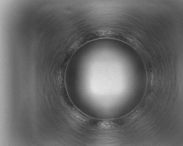 X0000059850372200510281858