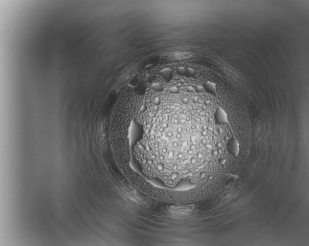 X0000059850373200510281858