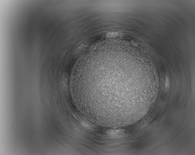 X0000059850375200510281858