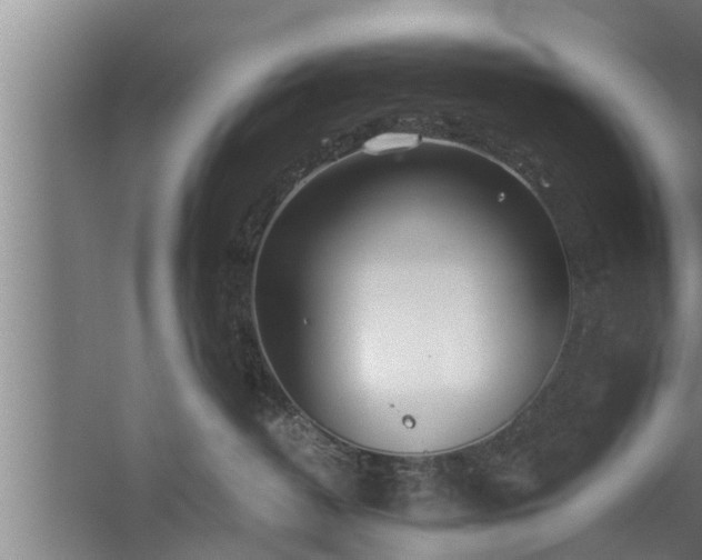 X0000059850382200510281858