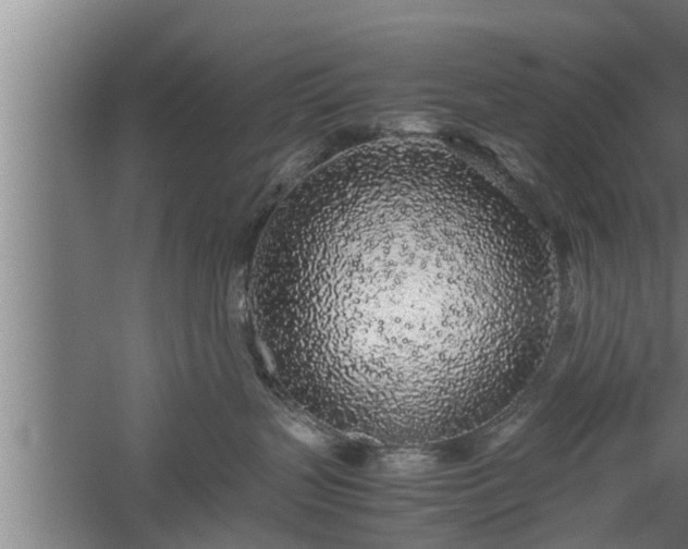 X0000059850383200510281858