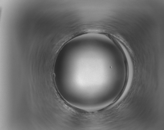 X0000059850385200510281857