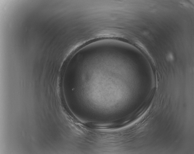 X0000059850387200510281857