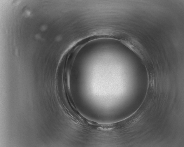 X0000059850388200510281857