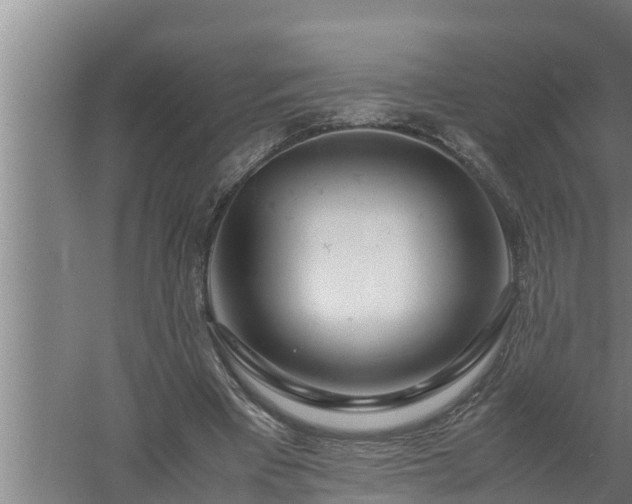 X0000059850393200510281857