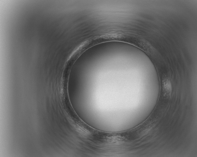 X0000059850396200510281857