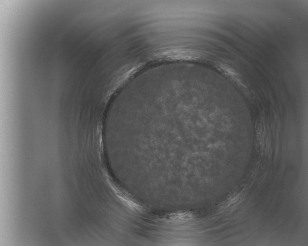 X0000059850398200510281857