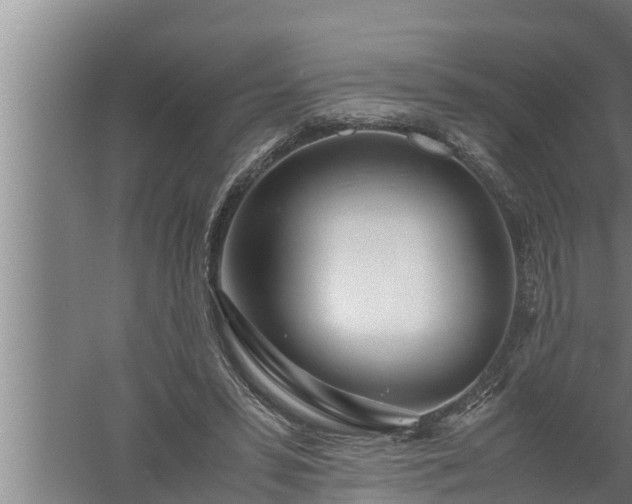 X0000059850399200510281857