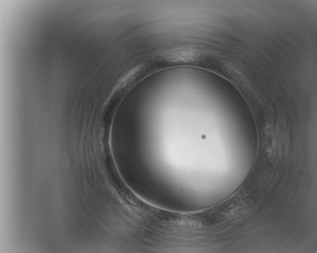 X0000059850400200510281857