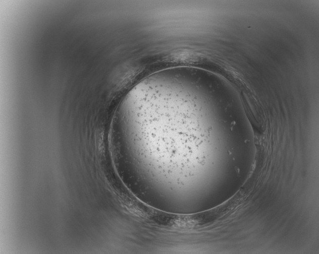 X0000059850403200510281857