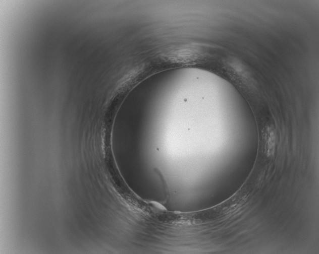 X0000059850404200510281857