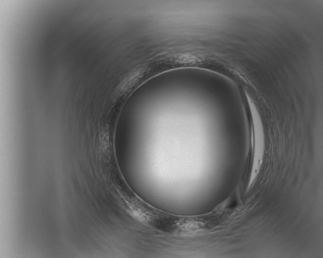 X0000059850407200510281857