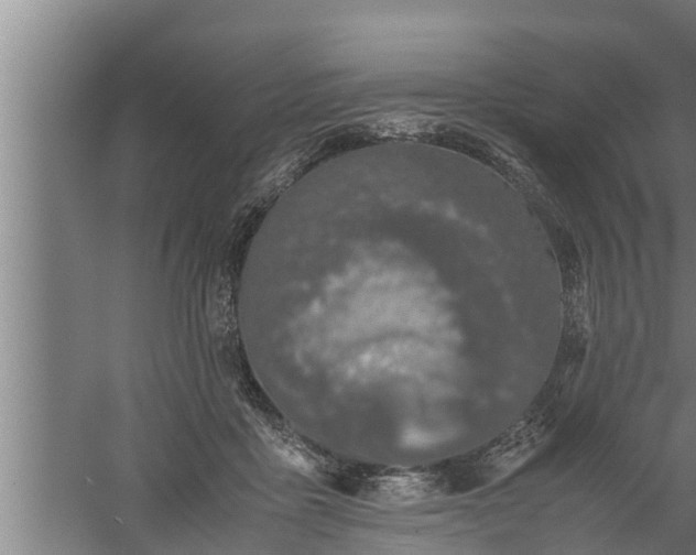 X0000059850411200510281856