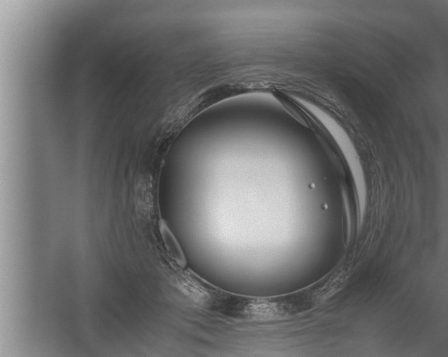 X0000059850413200510281856