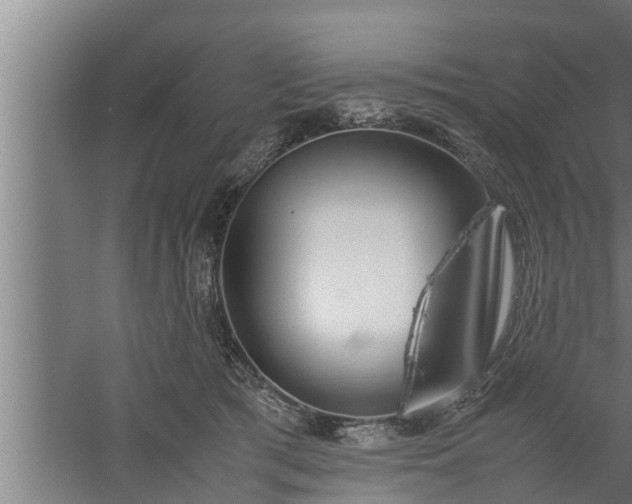 X0000059850417200510281856