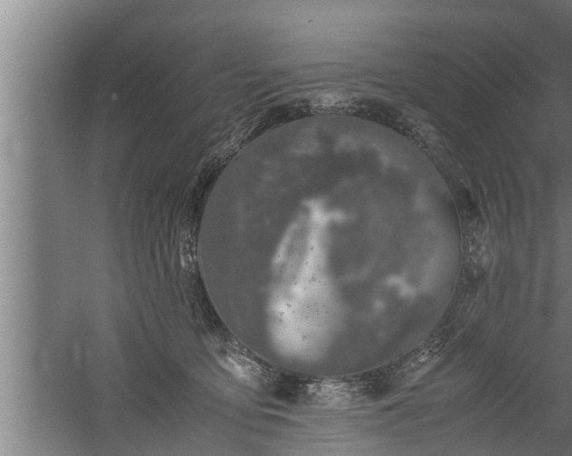 X0000059850419200510281856