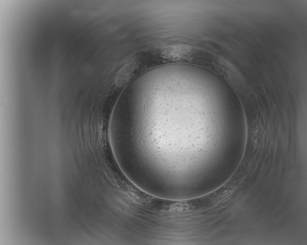 X0000059850420200510281856