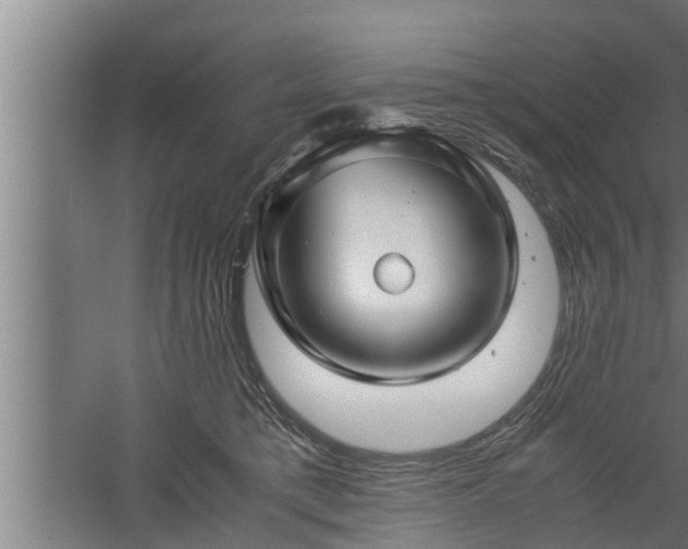 X0000059850421200510281856