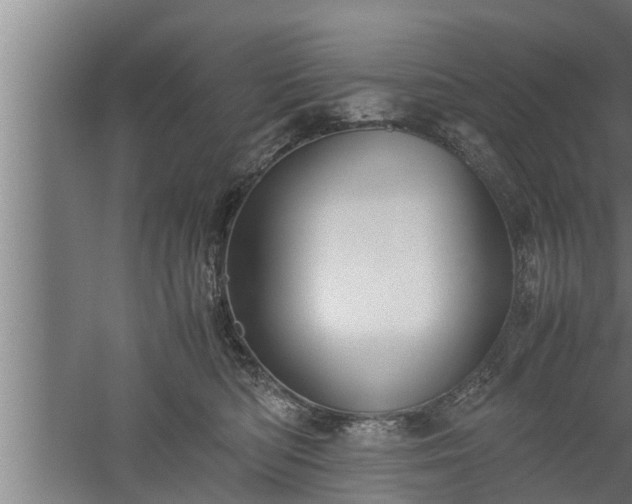 X0000059850422200510281856