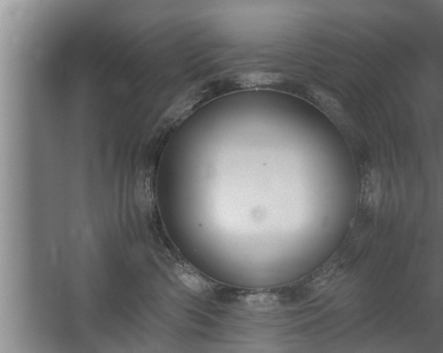 X0000059850426200510281856