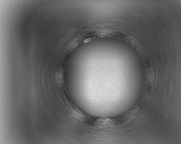 X0000059850427200510281856