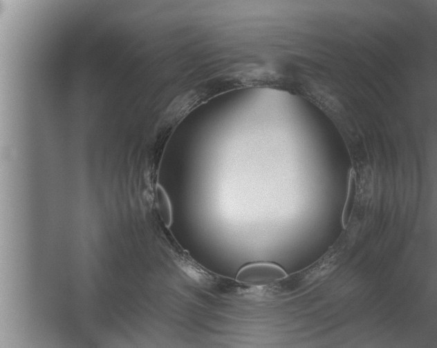 X0000059850430200510281856